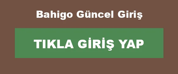 Bahigo Güncel Giriş infografik