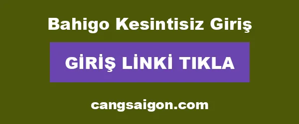Bahigo Kesintisiz Giriş infografik