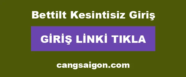 Bettilt Kesintisiz Giriş infografik