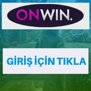 Onwin giriş