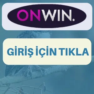 Onwin giriş