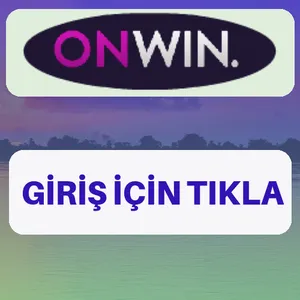 Onwin giriş