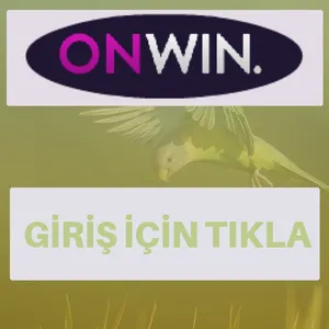 Onwin giriş