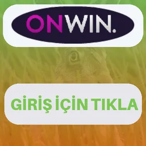 Onwin giriş