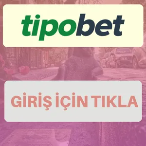 Tipobet giriş