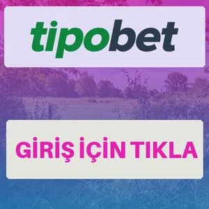 Tipobet giriş